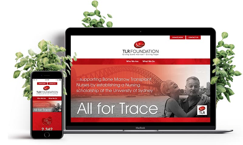 TLR Foundation website presentation